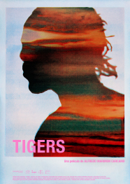 Poster Tigers